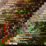  ΟΝΙRAMA [ΠΟΛΥΤΕΛΗΣ ΚΑΣΕΤΙΝΑ ΜΕ 2 CD]