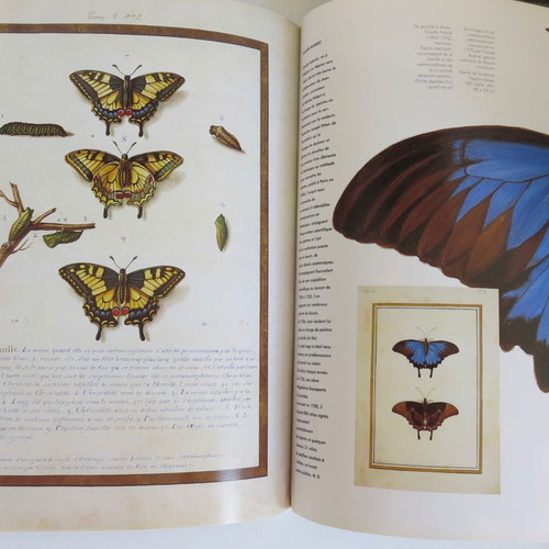 Beaux Arts magazine used for National Museum of Natural History 1994