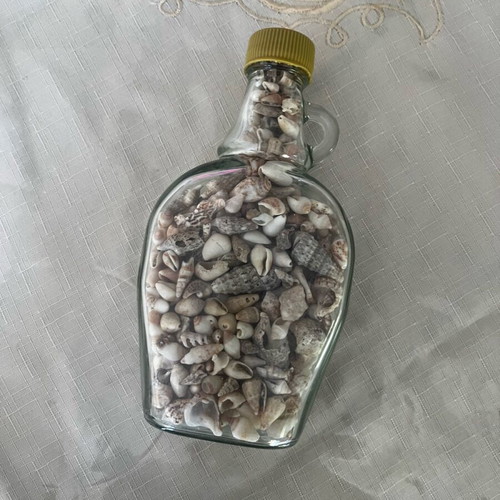 Glass vase filled with natural shells made to order