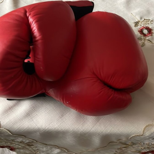 Boxing gloves used in excellent condition