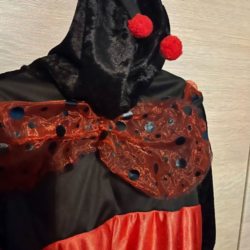 Ladybug costume baby 24 months like new for height up to 90cm