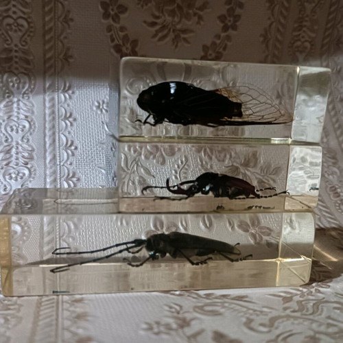 Insects used in hard resin, set of 3 pieces