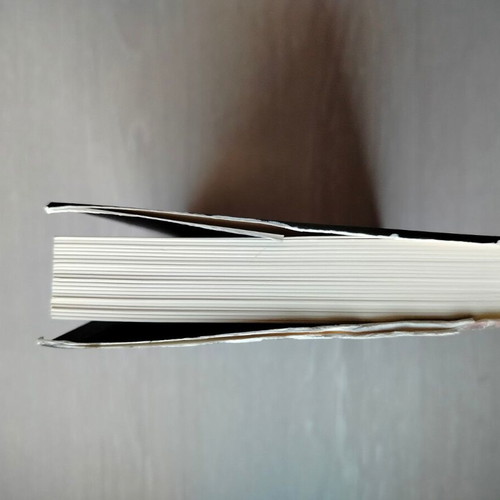 The Mania with Caravaggio book like new