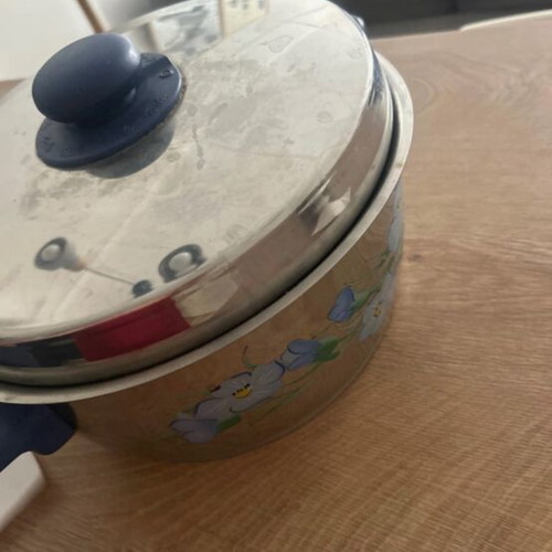 Fissler pot