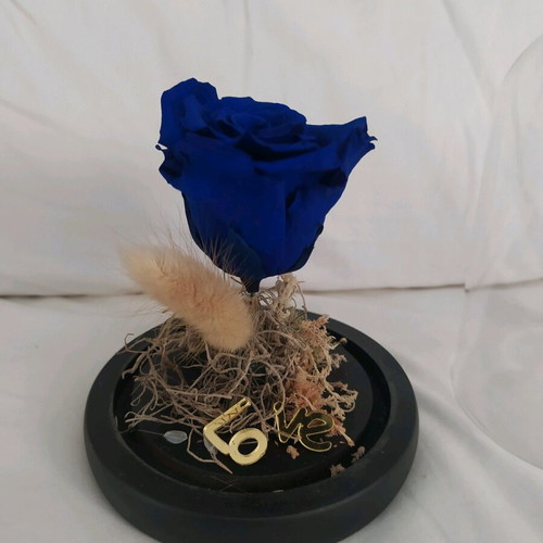 Natural rose used in glass dome