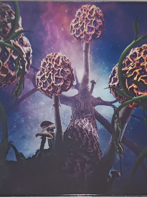 Blut Aus Nord Hallucinogen Digipack CD like new, avant garde black metal