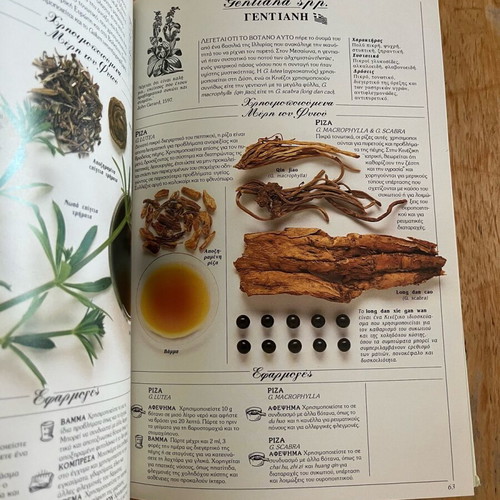The Herb Society’s Complete Guide to Medicinal Herbs like new