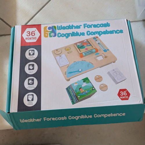 Montessori Wooden Weather Station new