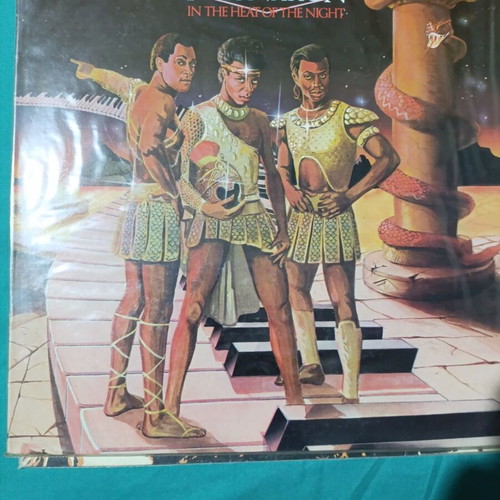 Imagination In The Heat Of The Night vinyl record