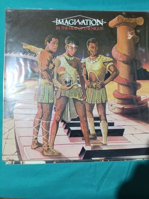 Imagination In The Heat Of The Night vinyl record