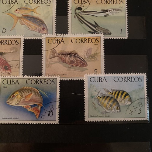 Fish of the National Aquarium stamp collection used, Cuba 1965, set of 8