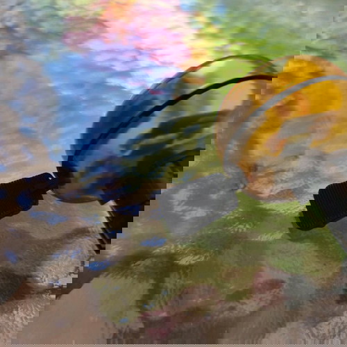 Κουδούνι ποδηλάτου καινούριο αχρησιμοποίητο