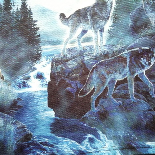 Men's T-shirt with howling wolves print, size M