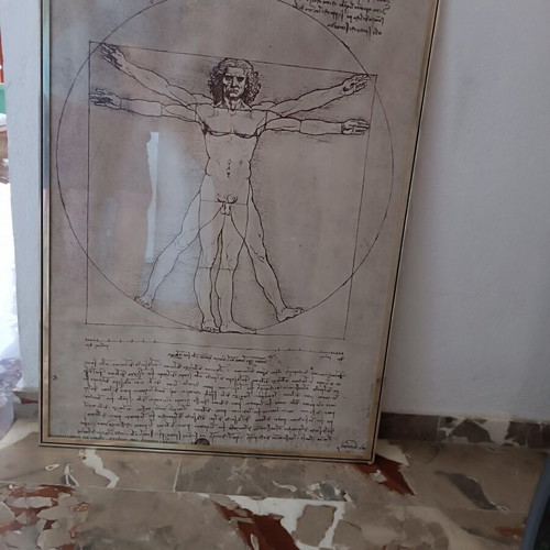 Ο άνθρωπος του Βιτρούβιου σε κορνίζα μεταχειρισμένος