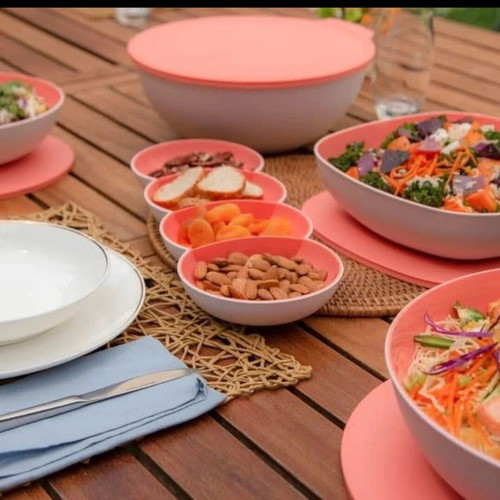 Allegra Tupperware series new with snack cover gift