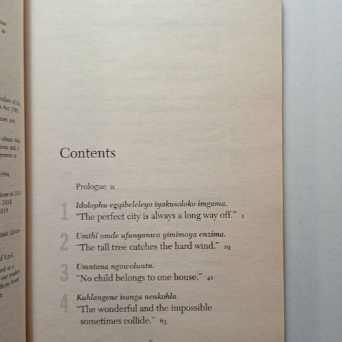 Ndaba Mandela 11 Life Lessons from Nelson Mandela book used