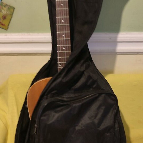 Norman B20 Electro-Acoustic Guitar like new