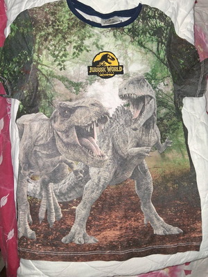 Jurassic World kids' holographic t-shirt like new
