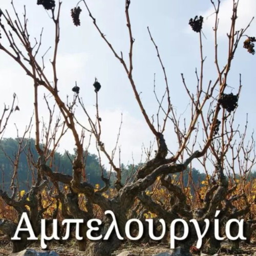 Ampelourgia academic book in Greek