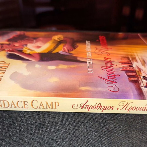 Unwilling Guardian book like new