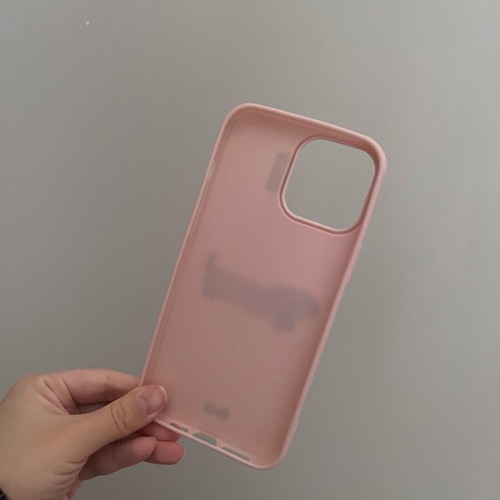 iPhone 13 Pro Max case new