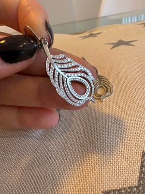 Steel earring set new, silver feather design