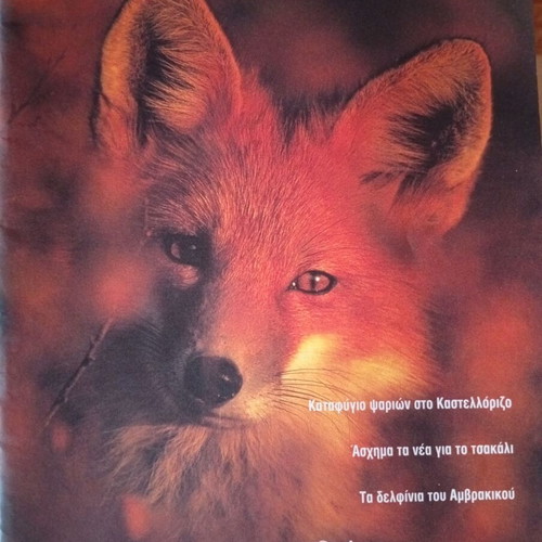 To Panta magazine used, 14 WWF issues 1998-2003