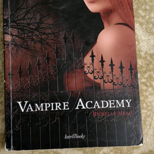 Vampire Academy Book 1 used