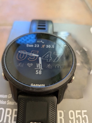Garmin Forerunner 955 smartwatch, black, unisex