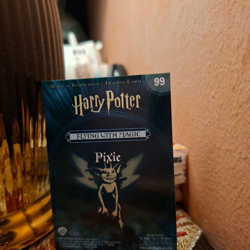 Harry Potter collectible card new, Warner Bros