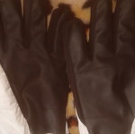 Winter professional gloves new