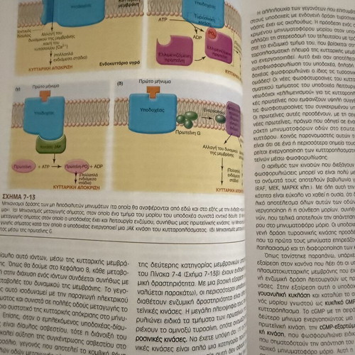 Physiology volumes I and II, 8th edition