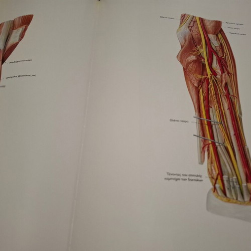 Sobotta Anatomy Atlas used, Greek edition