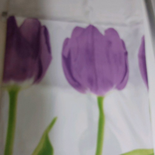Spirella shower curtain and bath mat set used in very good condition