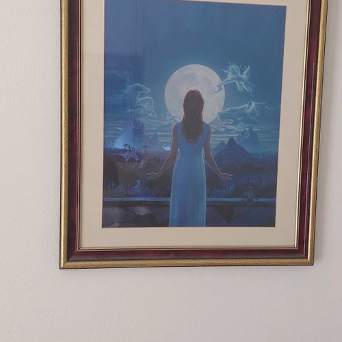 Painting used
