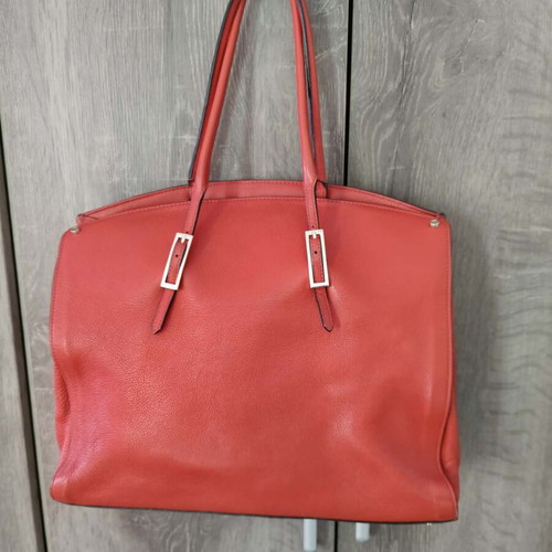 Coccinel bag used