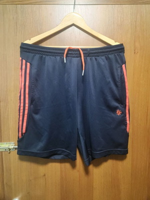 Adidas Clima Cool Roland Garos shorts size M used, blue