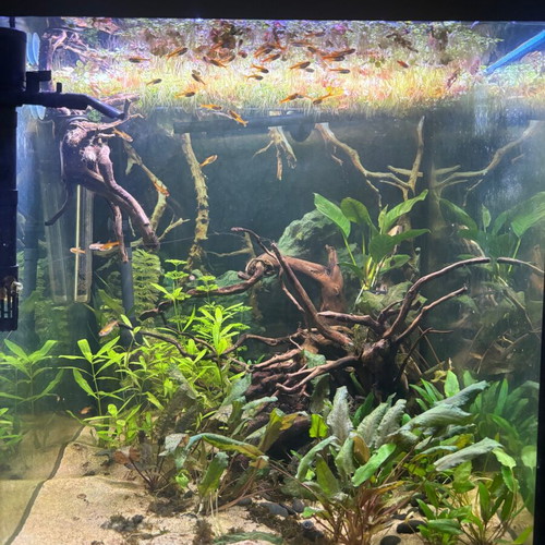 Aquarium 200 liters cube with stand like new