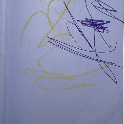 The New Bible of Pregnancy book used, Greek