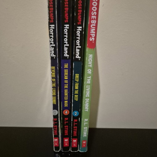 Goosebumps RL Stine horror books pack of 4 used, English