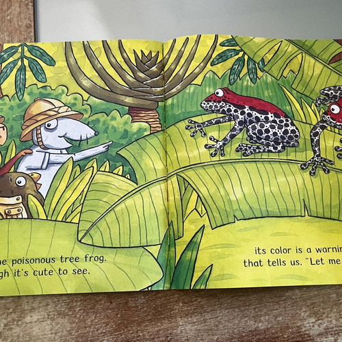 Rainforest Adventure children's book, Amazing Animals series