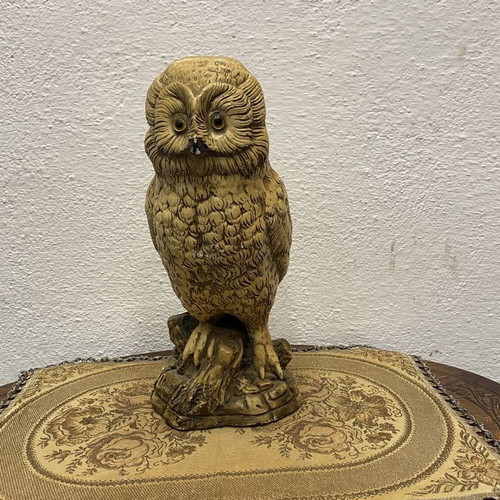 Old Dutch owl used, nocturnal bird