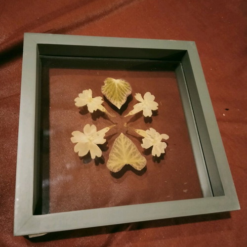 Transparent frame with dried leaves and flowers like new