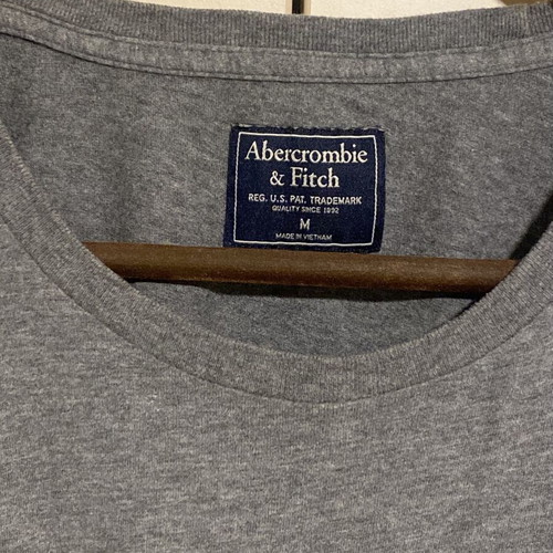 Abercrombie & Fitch T shirt new, cotton, gray, size M