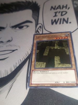 Labyrinth Wall Yu-Gi-Oh! card like new
