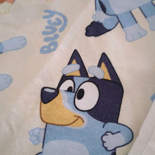 Bluey T-shirt like new, set of 2, Zara & H&M, ages 4-6