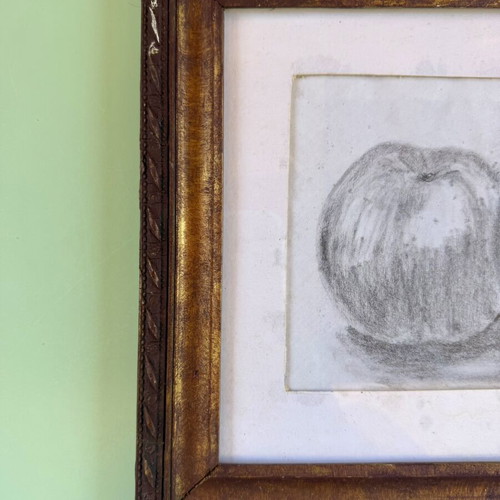 Framed black and white apple drawing