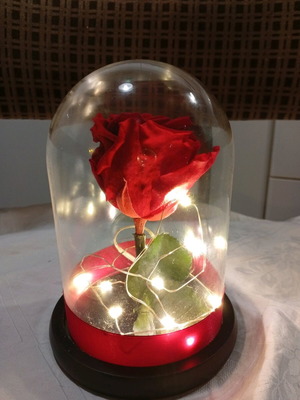 Red Passion Eternal Rose 16cm FR101 in Glass Dome with Light like new