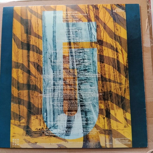 Glass Tiger The Thin Red Line LP like new, rock
