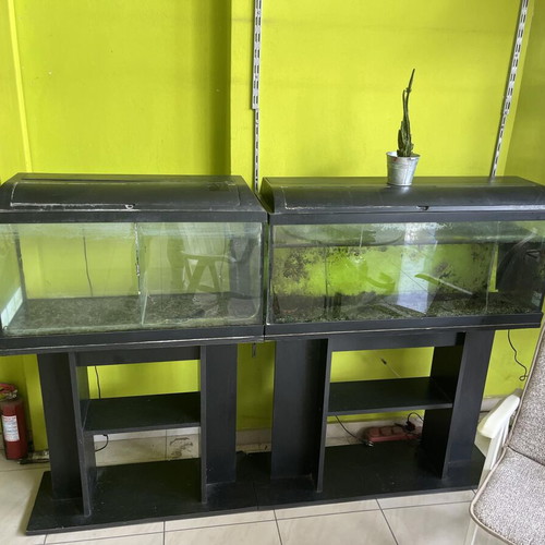 Aquariums used 80 liters and 100 liters with stand